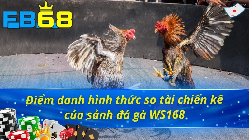 Đá Gà WS168 FB68 - Trải Nghiệm Đấu Trường Chọi Gà Kịch Tính 4 Đá gà WS168 FB68 sở hữu đa dạng hình thức chọi gà